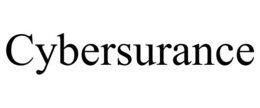 CYBERSURANCE