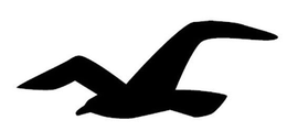 HOLLISTER CALIFORNIA
