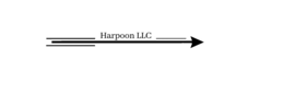 HARPOON LLC
