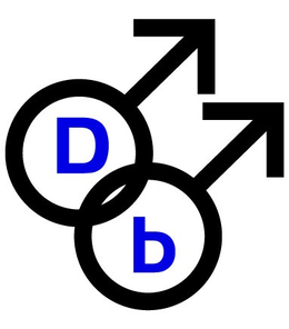 DB