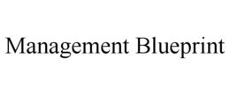 MANAGEMENT BLUEPRINT