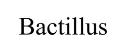BACTILLUS