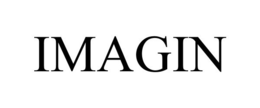 IMAGIN