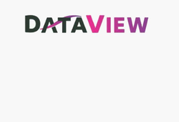 DATAVIEW