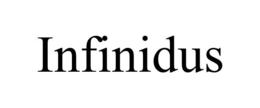 INFINIDUS