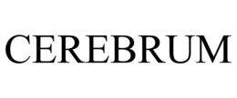 CEREBRUM