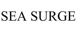SEA SURGE