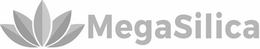 MEGASILICA