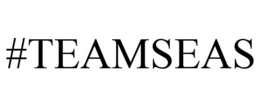 #TEAMSEAS