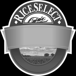 RICESELECT