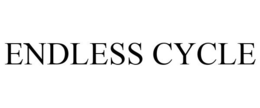 ENDLESS CYCLE