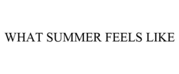 WHAT SUMMER FEELS LIKE
