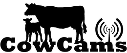 COWCAMS