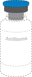 AMBISOME