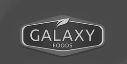 GALAXY FOODS