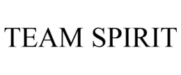TEAM SPIRIT