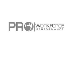 PRO WORKFORCE PERFORMANCE