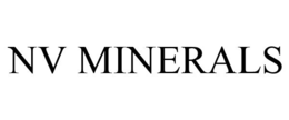 NV MINERALS