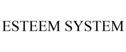 ESTEEM SYSTEM