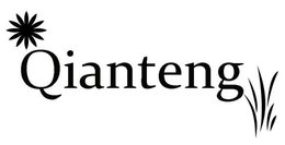 QIANTENG