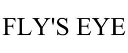 FLY'S EYE