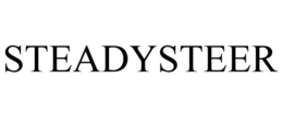 STEADYSTEER