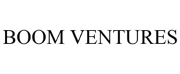 BOOM VENTURES