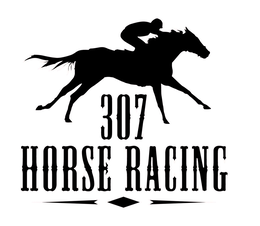 307 HORSE RACING