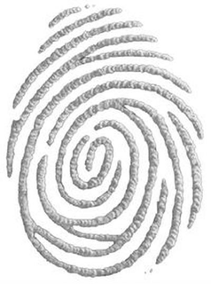 90094124