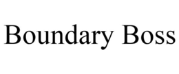 BOUNDARY BOSS