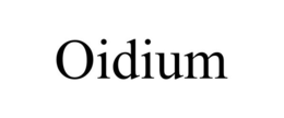 OIDIUM