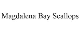 MAGDALENA BAY SCALLOPS