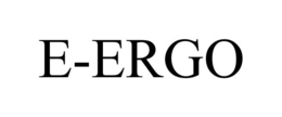 E-ERGO