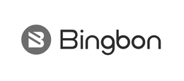 BINGBON
