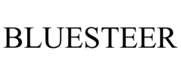 BLUESTEER