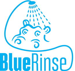 BLUE RINSE