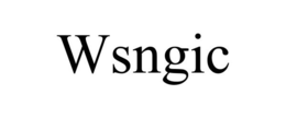WSNGIC