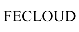 FECLOUD