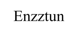 ENZZTUN