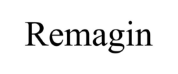 REMAGIN