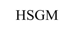 HSGM