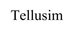 TELLUSIM
