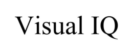 VISUAL IQ