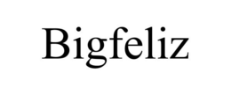 BIGFELIZ