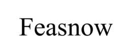 FEASNOW