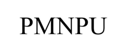 PMNPU