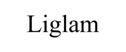 LIGLAM