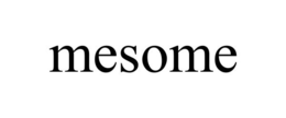 MESOME