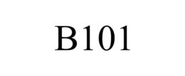 B101
