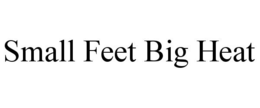 SMALL FEET BIG HEAT